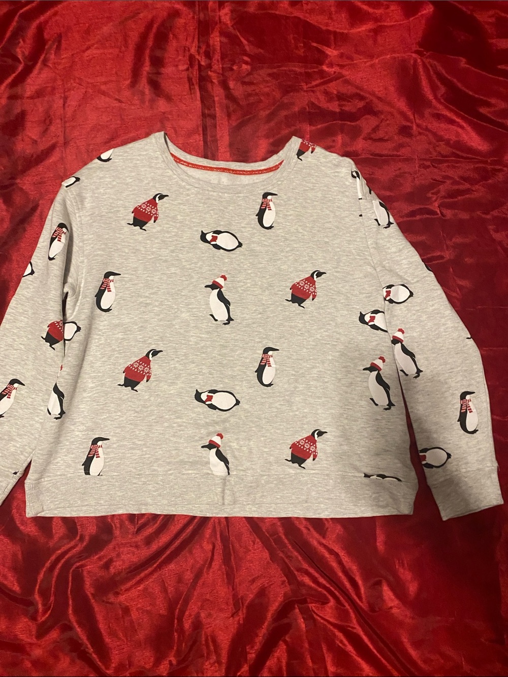 Women Grey Penguin Print Long-Sleeve